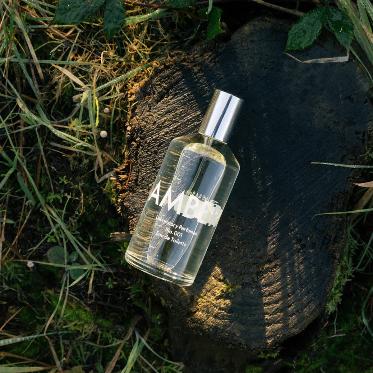 Eau de Toilette (100 ml) - Amber
