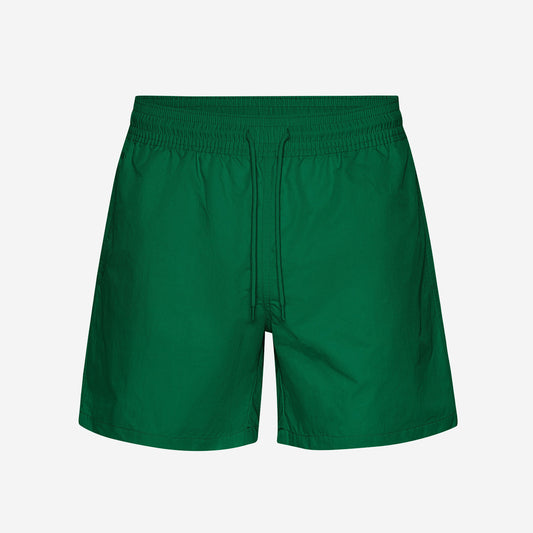 Classic Swim Shorts - Kelly Green