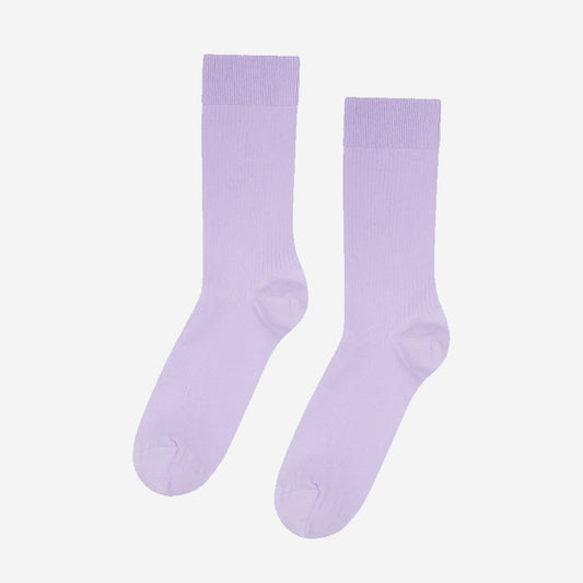 Classic Organic Crew Socks - Soft Lavender