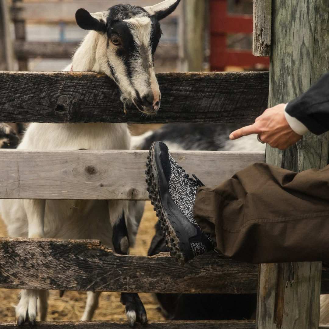 x 18 East Jasper Zionic TX-M - Black/Black