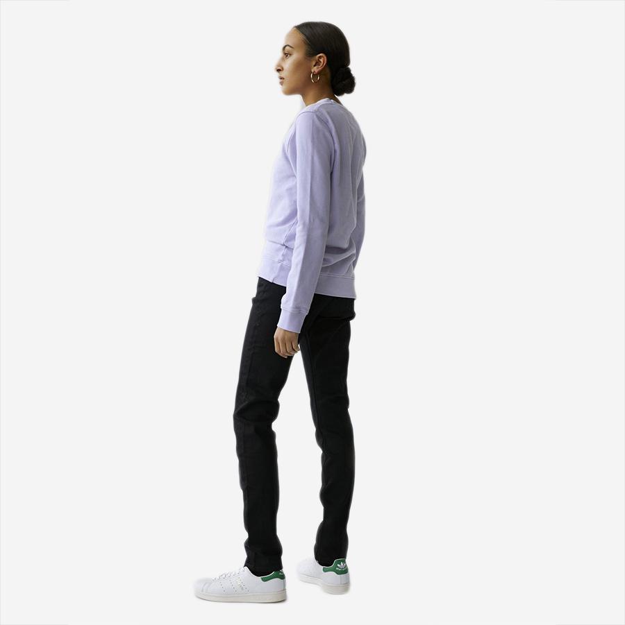 Classic Organic Crew Sweatshirt - Midnight Forest