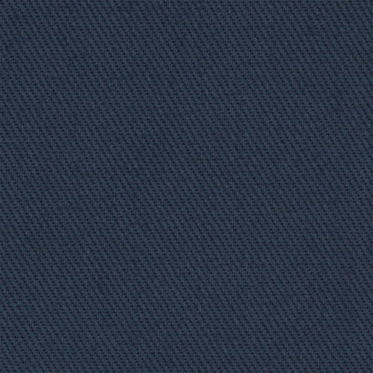 Two-Tuck Heavy Twill Easy Pants - Blue