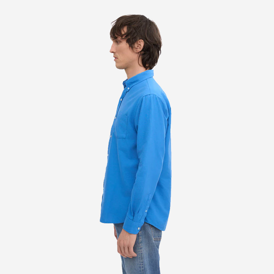 Organic Button-Down Oxford Shirt - Pacific Blue