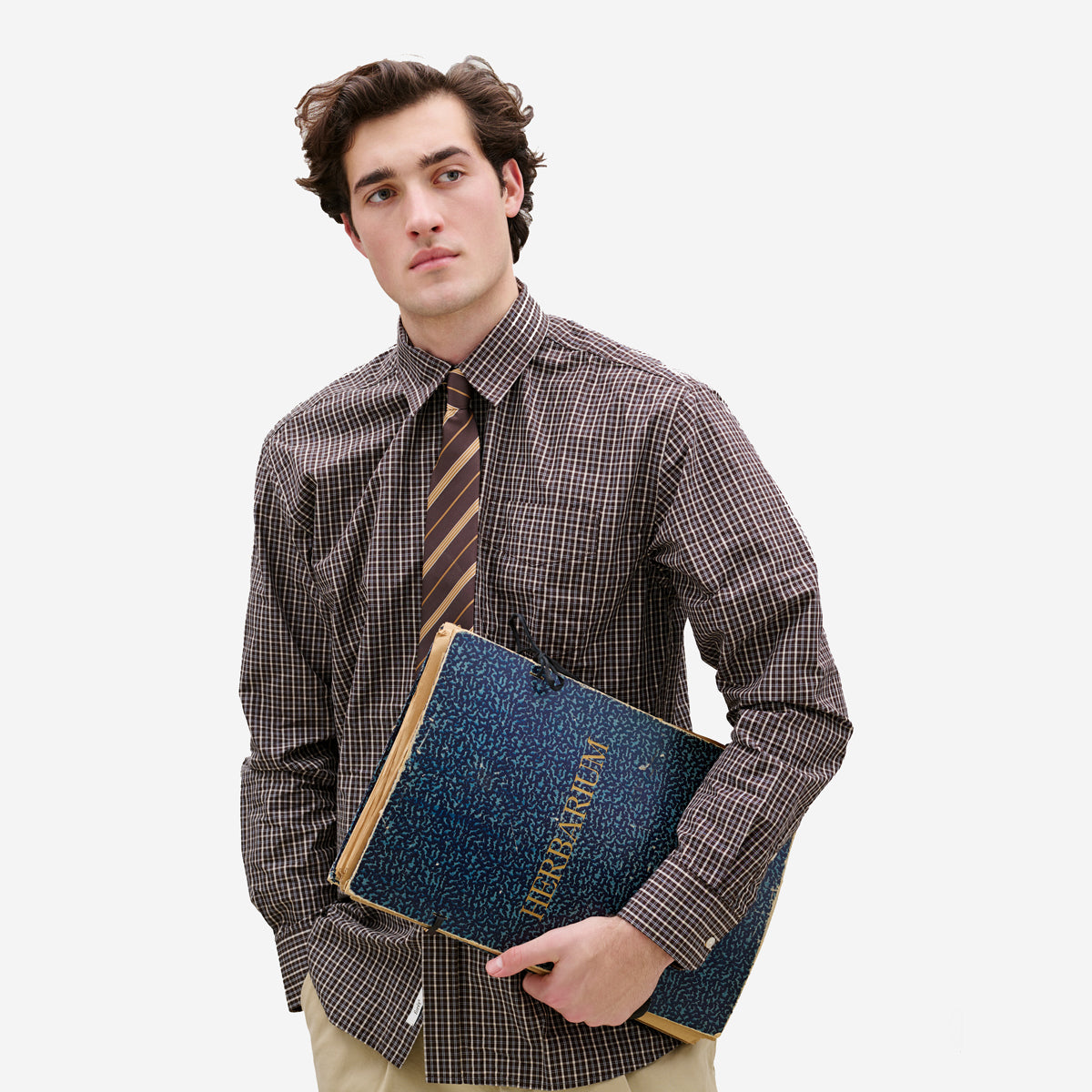 Eden Neck Tie - Wood Stripe