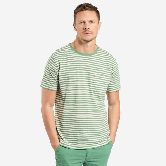 Striped C/L T-Shirt - Ivy/Nature
