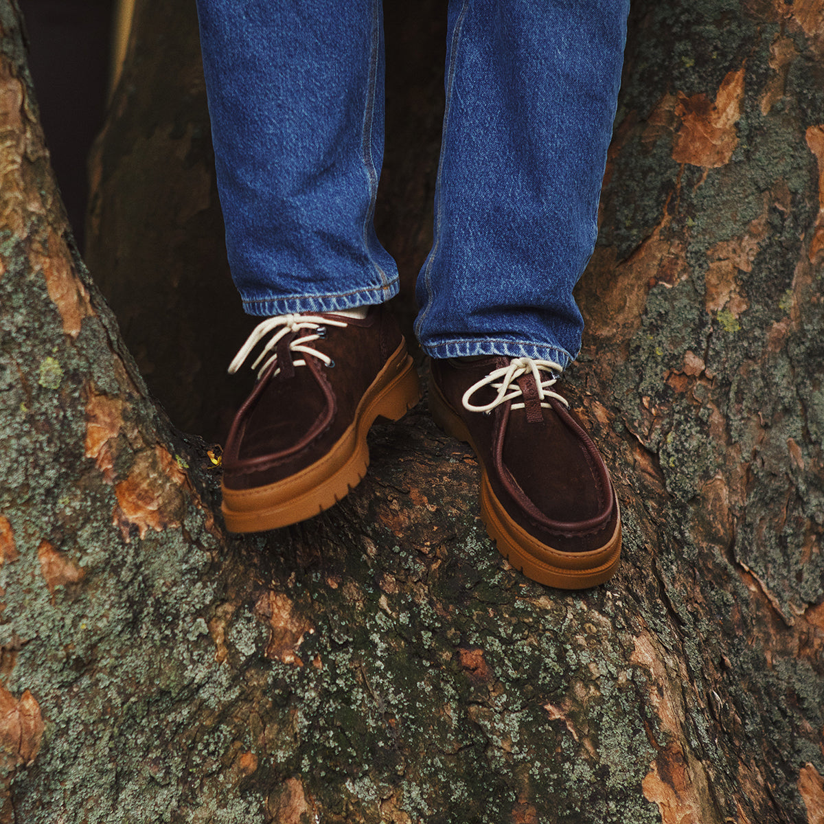 KLEMAN + forét Suede Derby Shoe - Brown