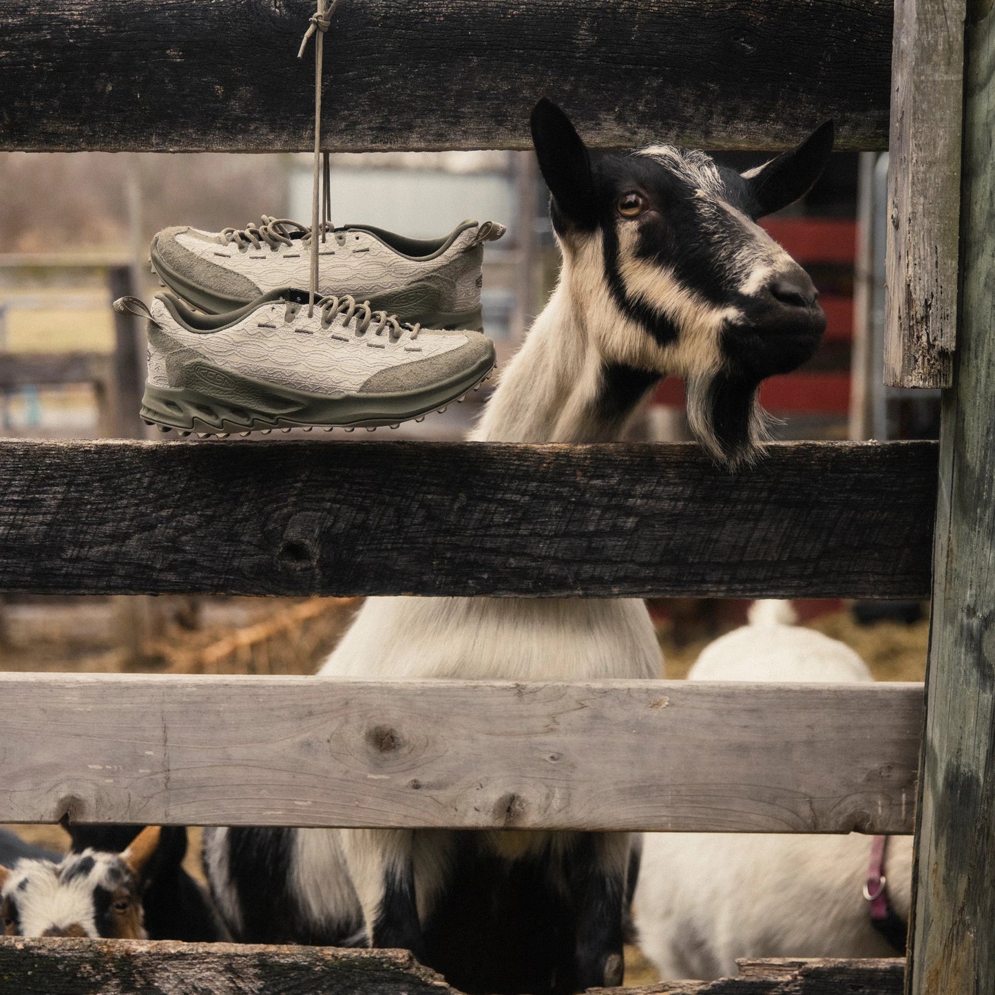 x 18 East Jasper Zionic TX-M - Abbey Stone/Mermaid