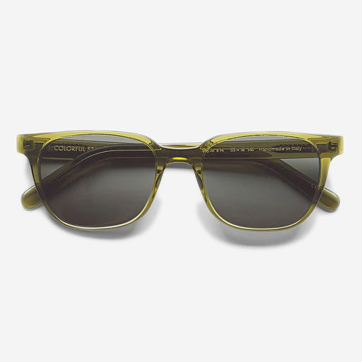 Sunglasses 14 - Seaweed Green/Green