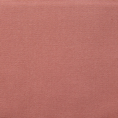Cotton Oxford Shorts - Dark Pink